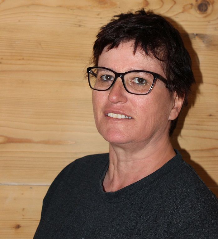 scheidbach-IMS-electric